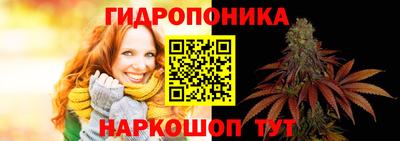 a pvp Пушкино