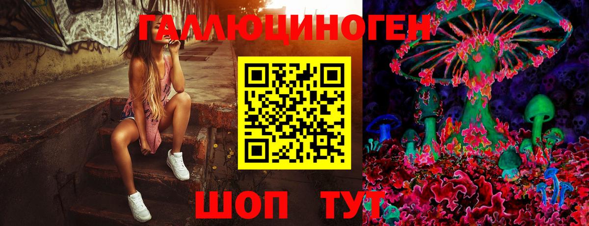 Псилоцибиновые грибы Psilocybe  Вход с VPN  Сатка  купить   Галлюциногенные грибы прущие грибы 